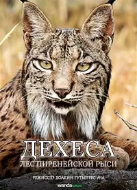 Дехеса: Лес пиренейской рыси / Dehesa, el bosque del lince ibérico