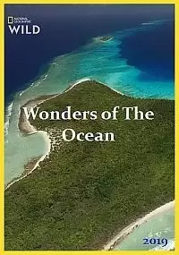 Чудеса океана / Wonders of the Ocean