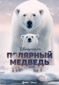 Полярный медведь / Polar Bear