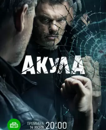 Акула