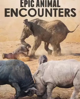 Невероятные встречи с животными / Epic Animal Encounters