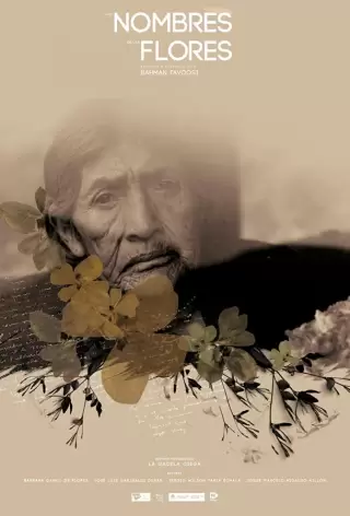 Имена цветов / Los nombres de las flores