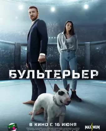 Бультерьер