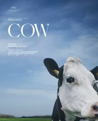 Корова / Cow