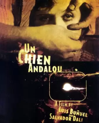 Андалузский пес / Un chien andalou
