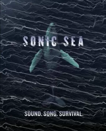 Оглушающий океан / Sonic Sea