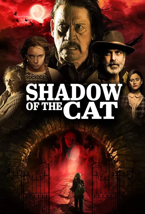 Тень кота / La Sombra Del Gato