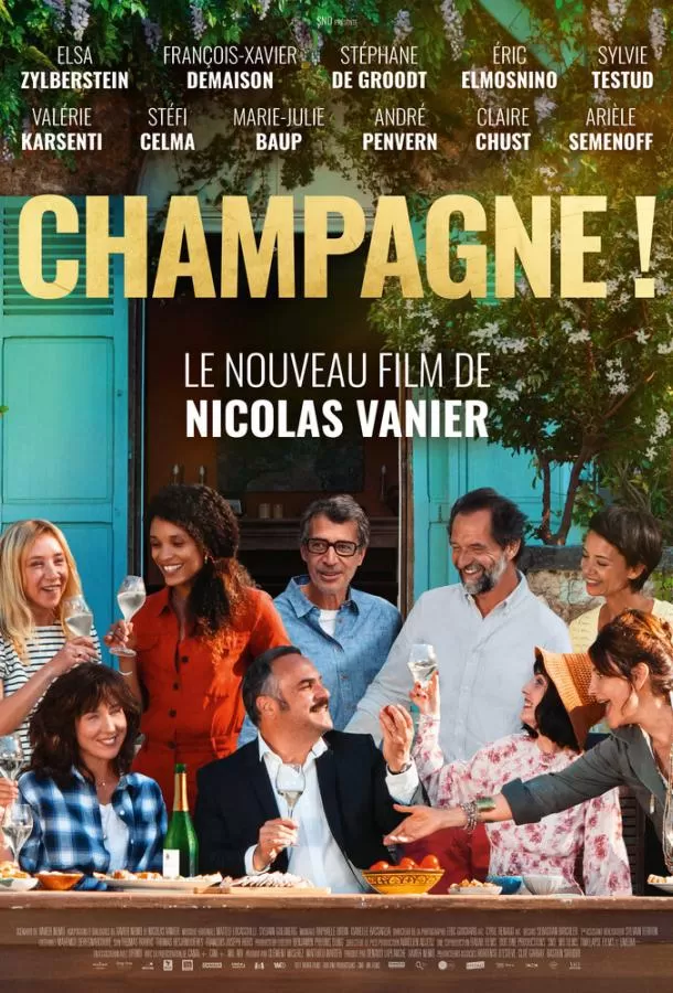 За бокалом шампанского / Champagne!
