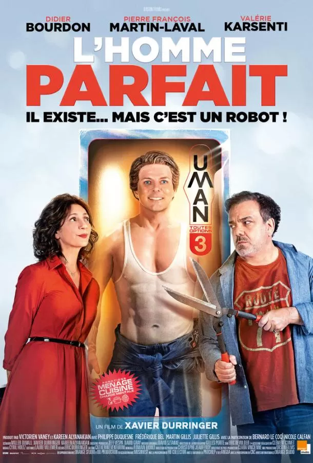 Мистер Идеальность / L'homme parfait