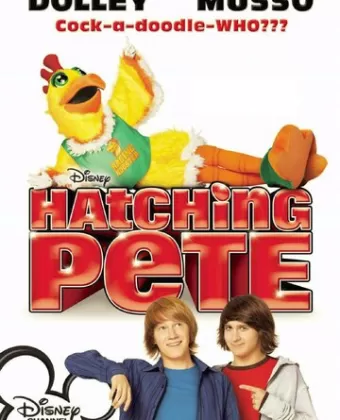 Пит в перьях / Hatching Pete