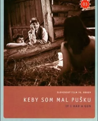 Если бы у меня было ружье / Keby som mal pusku