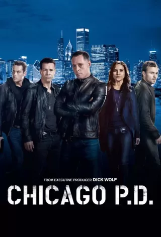 Полиция Чикаго / Chicago P.D.
