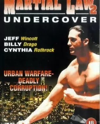 Комендантский час 2 / Martial Law II: Undercover