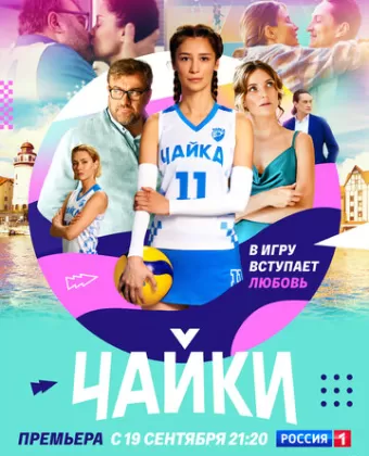 Чайки