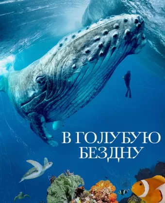 В голубую бездну / Into the Big Blue Heart: Ocean Currents