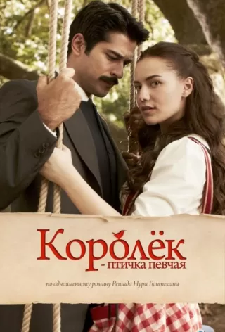 Королёк – птичка певчая / Çalikusu
