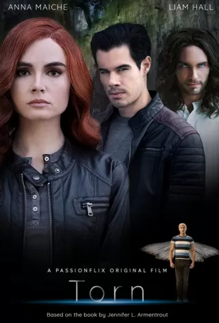 Разорванный: Злая трилогия / Torn: A Wicked Trilogy