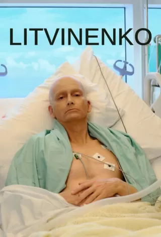Литвиненко / Litvinenko
