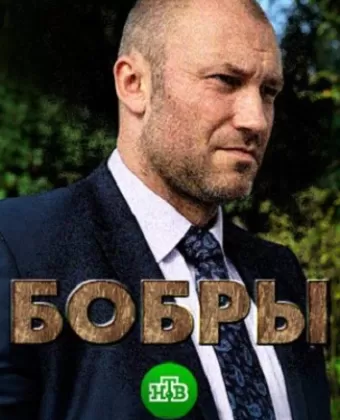 Бобры