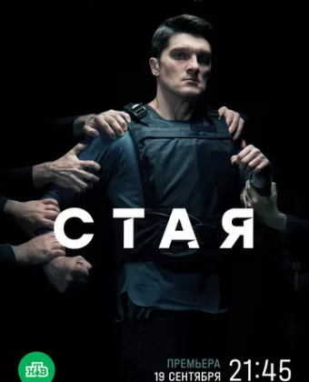 Стая