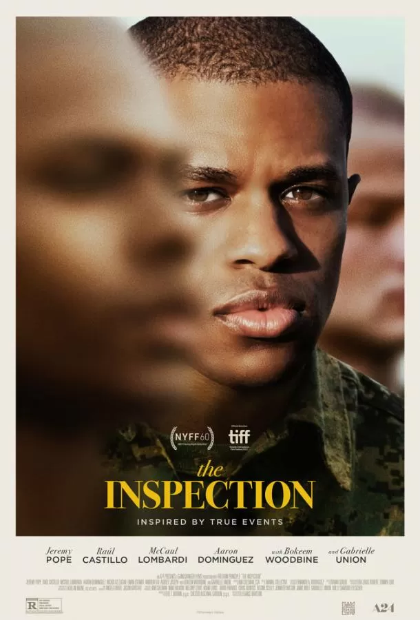 Проверка / The Inspection