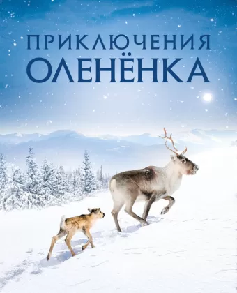 Приключения оленёнка / Aïlo: Une odyssée en Laponie