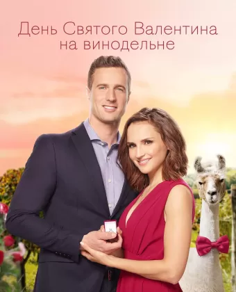 День Святого Валентина на винодельне / Valentine in the Vineyard
