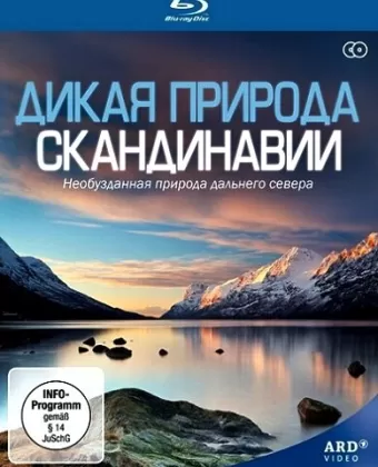 Дикая природа Скандинавии / Wildes Skandinavien