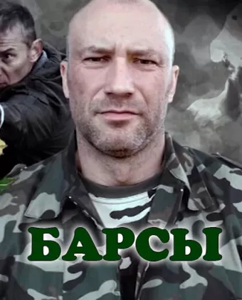 Барсы