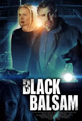 Смертельная сделка / Black Balsam