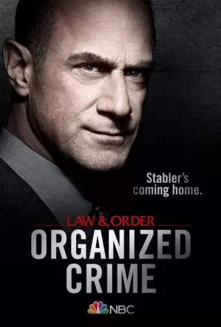 Закон и порядок: Организованная преступность / Law & Order: Organized Crime