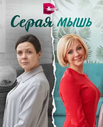 Серая мышь