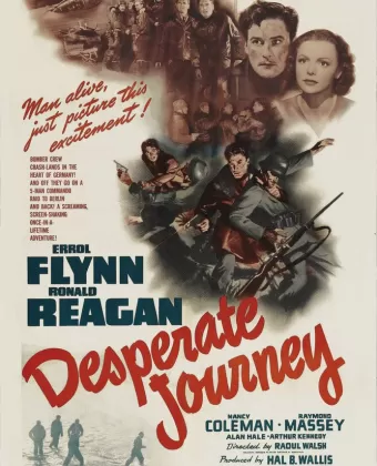 Отчаянное путешествие / Desperate Journey