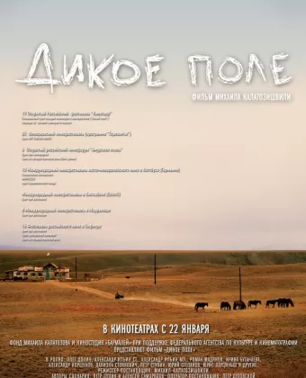 Дикое поле