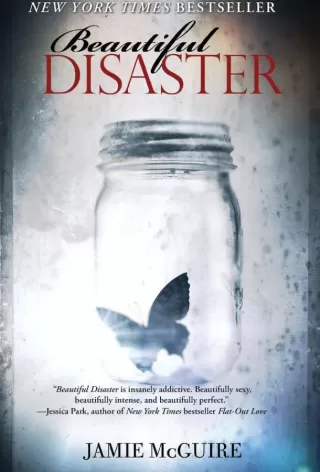 Моё прекрасное несчастье / Beautiful Disaster