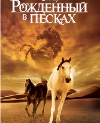 Рожденный в песках / The Young Black Stallion