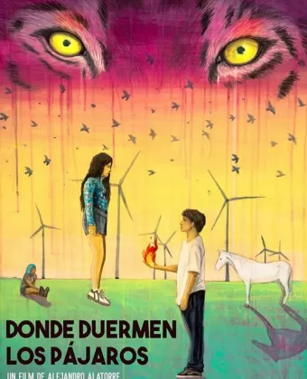 Там, где спят птицы / Donde duermen los pájaros