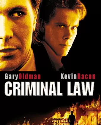 Адвокат для убийцы / Criminal Law