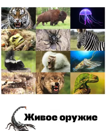 Живое оружие / Animal Armory