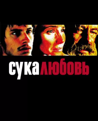 Сука-любовь / Amores perros