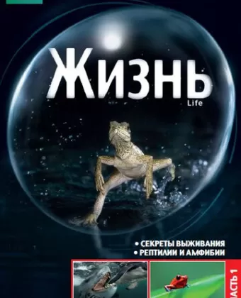 BBC: Жизнь / Life