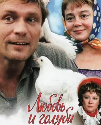 Любовь и голуби