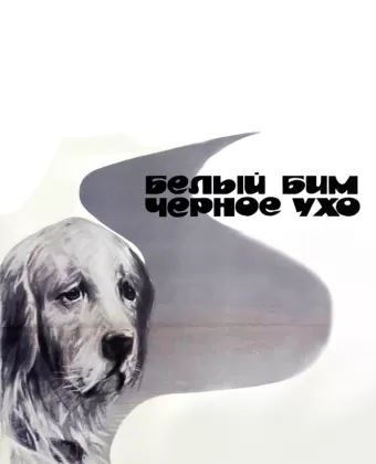 Белый Бим Черное ухо