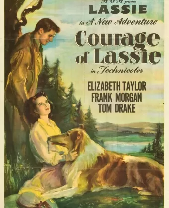 Храбрость Лэсси / Courage of Lassie