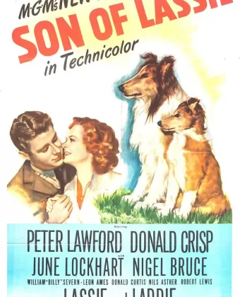 Сын Лесси / Son of Lassie