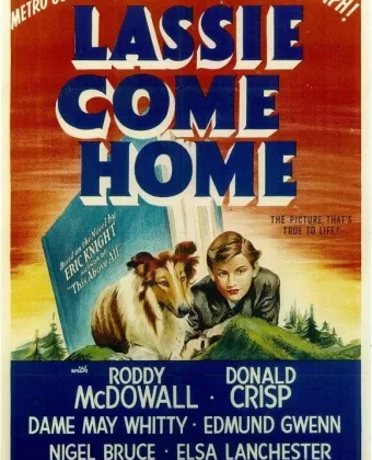 Лесси возвращается домой / Lassie Come Home
