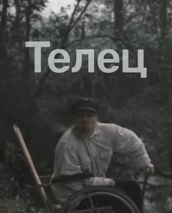 Телец