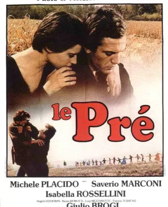 Поляна / Il prato