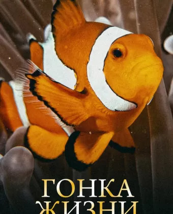 Гонка жизни / Race of Life