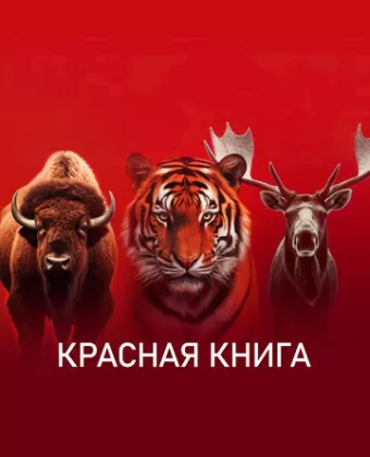 Красная книга